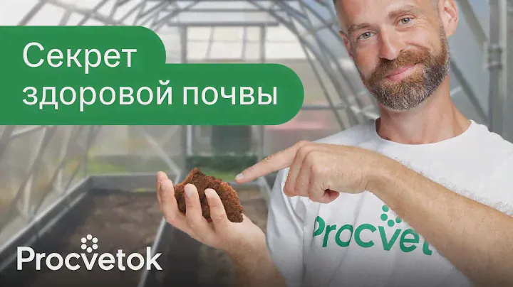 ДОБАВИЛ ЭТО И ПОЧВА В ТЕПЛИЦЕ КАК НОВАЯ! Как улучшить плодородие почвы и избавиться от вредителей
