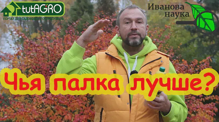 КАК Я ВЫБИРАЮ СЕННУЮ ПАЛОЧКУ. Выбираем сенную палочку по уму.