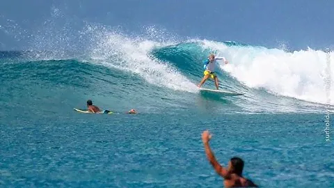 Выбираем шортборд FireWire. [Surfholidays, серфинг]
