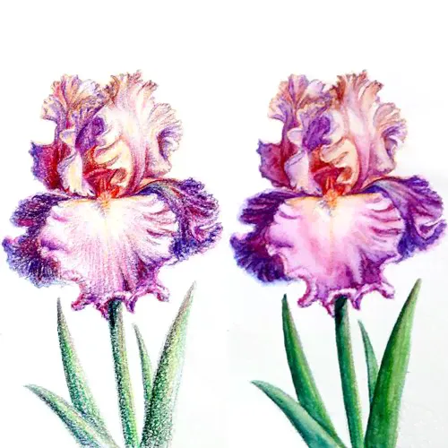 Набор акварельных карандашей Aquarelle, 12 цветов (Bruno Visconti)-2