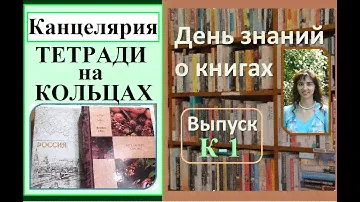 Обзор тетрадей на кольцах (плюсы и минусы). Варианты и опыт использования.