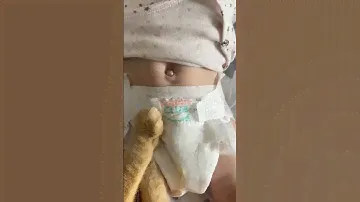 Предлагаем посмотреть на смену подгузника NappyClub под другим углом 🐈