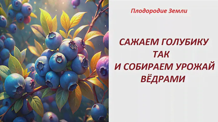 Эксперимент с посадкой голубики. Мой метод №544/24