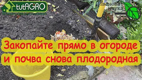 ЗАКОПАЙТЕ ЭТО В ОГОРОДЕ и почва снова станет плодородной. Легкий путь к повышению плодородия почвы.